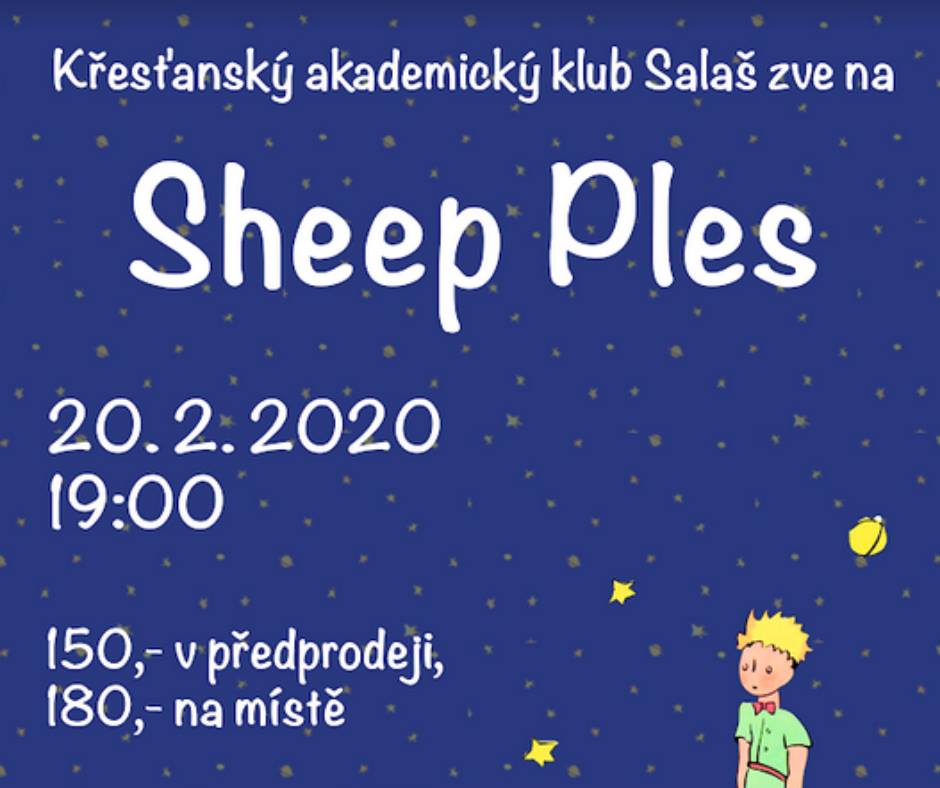Sheep Ples